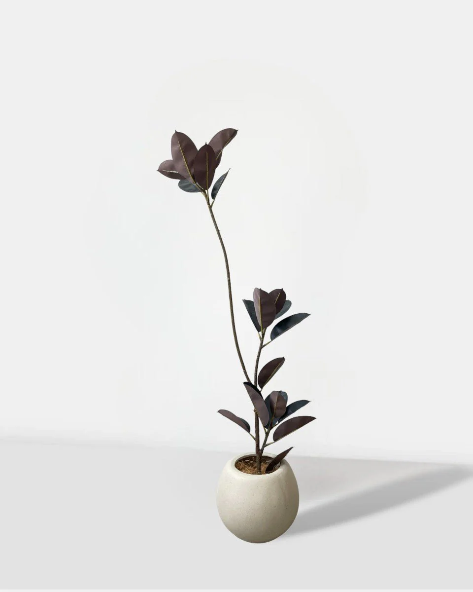Rubber Tree 1.4m (Life-like Artificial) - Image 7