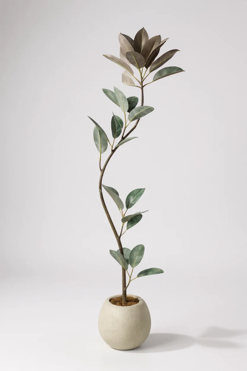Rubber Tree 1.6m (Life-like Artificial) - Image 4