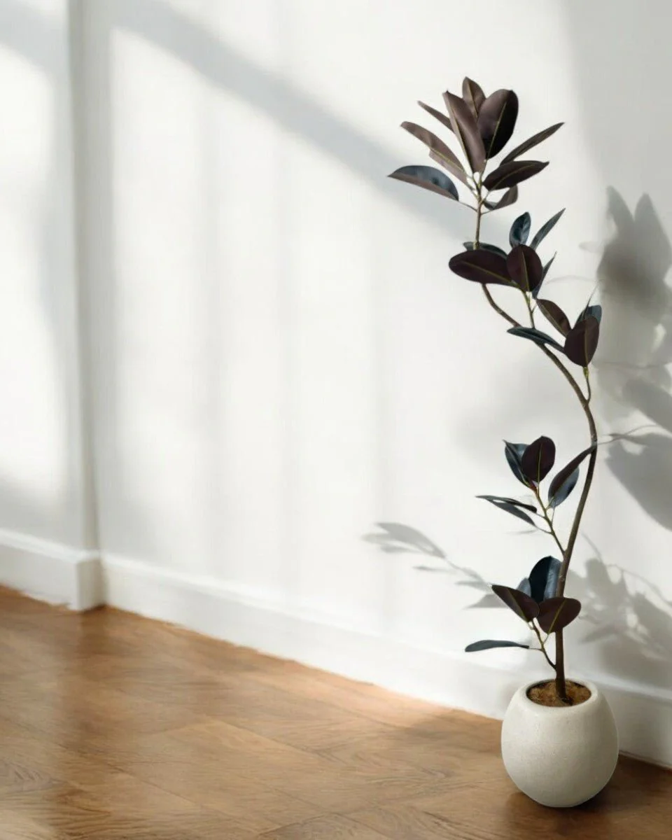 Rubber Tree 1.6m (Life-like Artificial) - Image 5