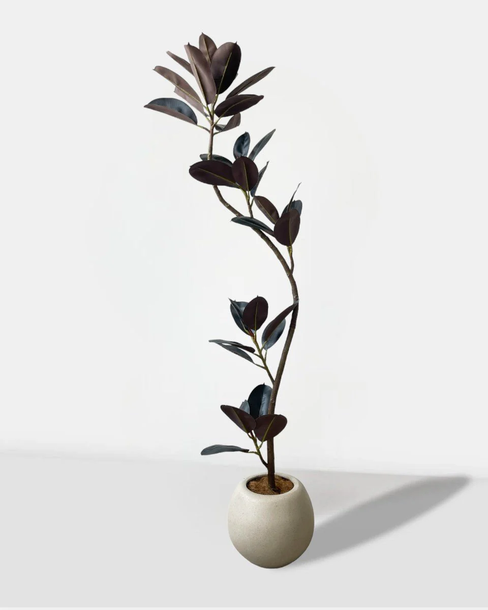 Rubber Tree 1.6m (Life-like Artificial) - Image 6