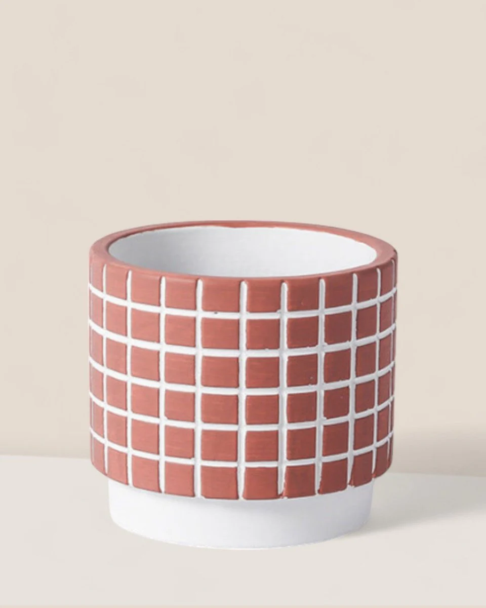Rubik Cube Planter - Image 8