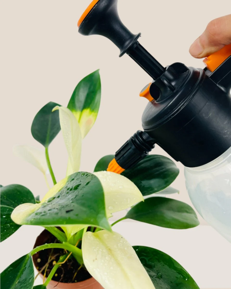 Sheen Garden Pump Spray - Image 2