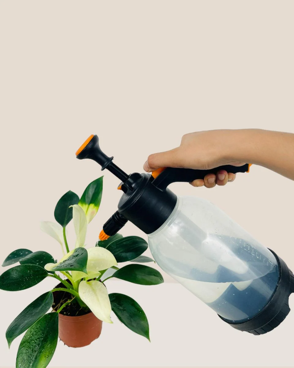 Sheen Garden Pump Spray - Image 6