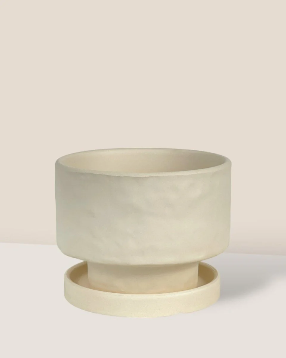 Astra Pot - Small - Image 12