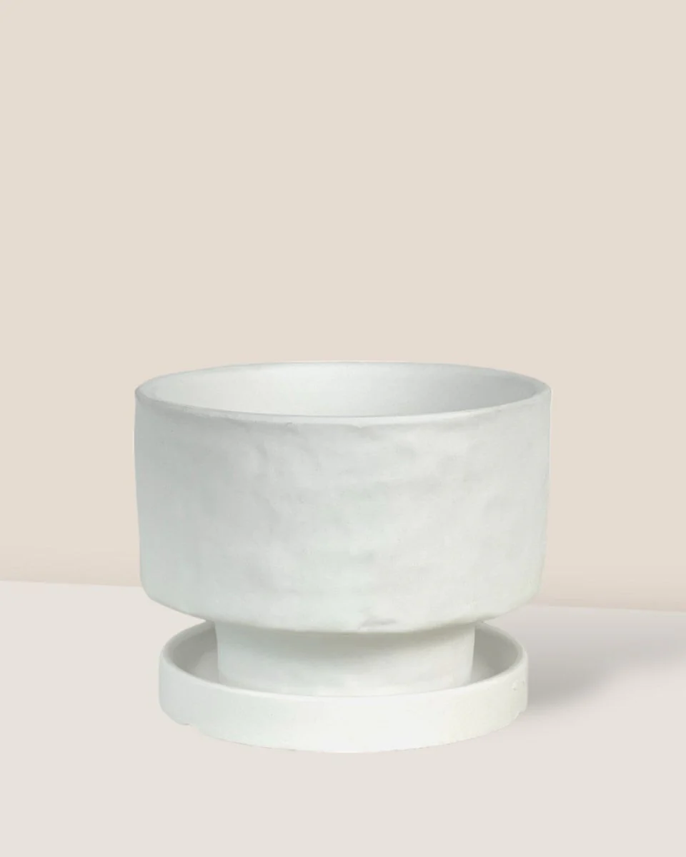 Astra Pot - Small - Image 15