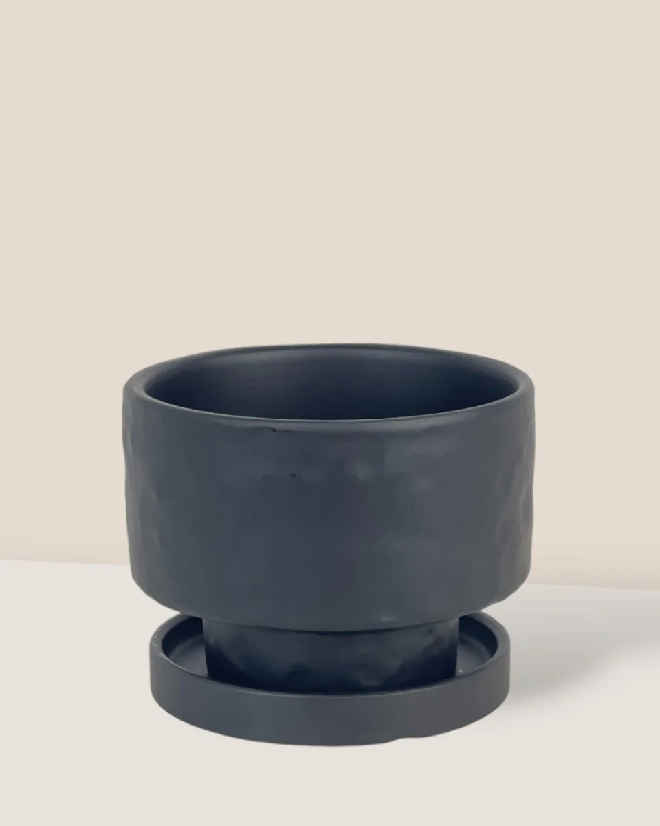 Astra Pot - Small - Image 3