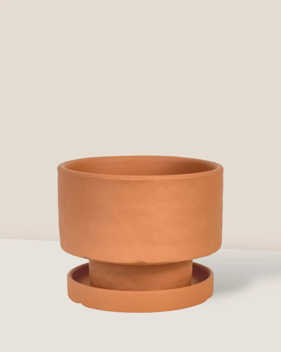 Astra Pot - Small - Image 6