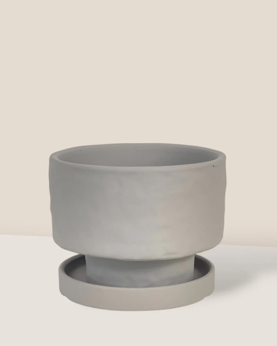 Astra Pot - Small - Image 9
