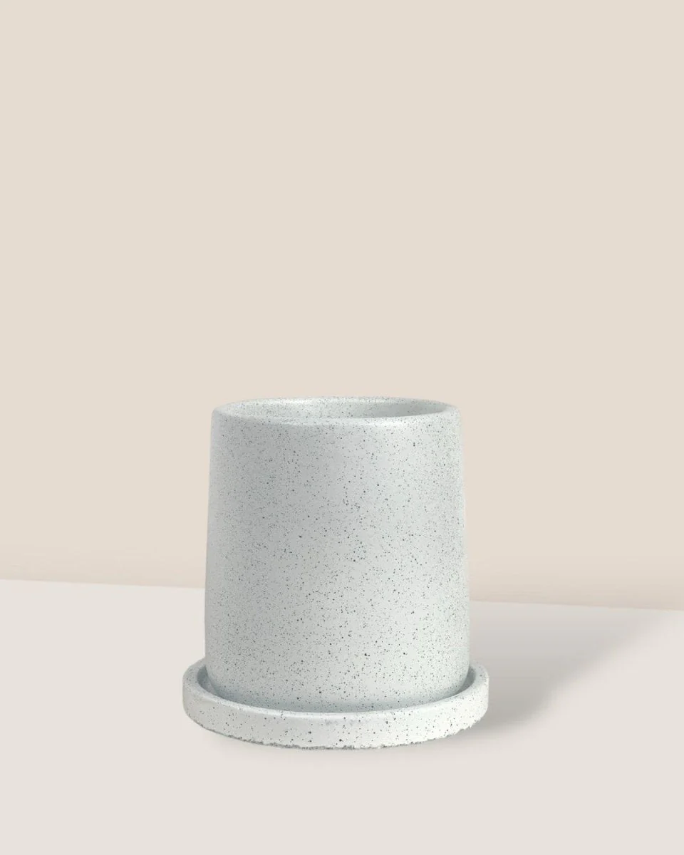 Brindle Pot - Small - Image 5