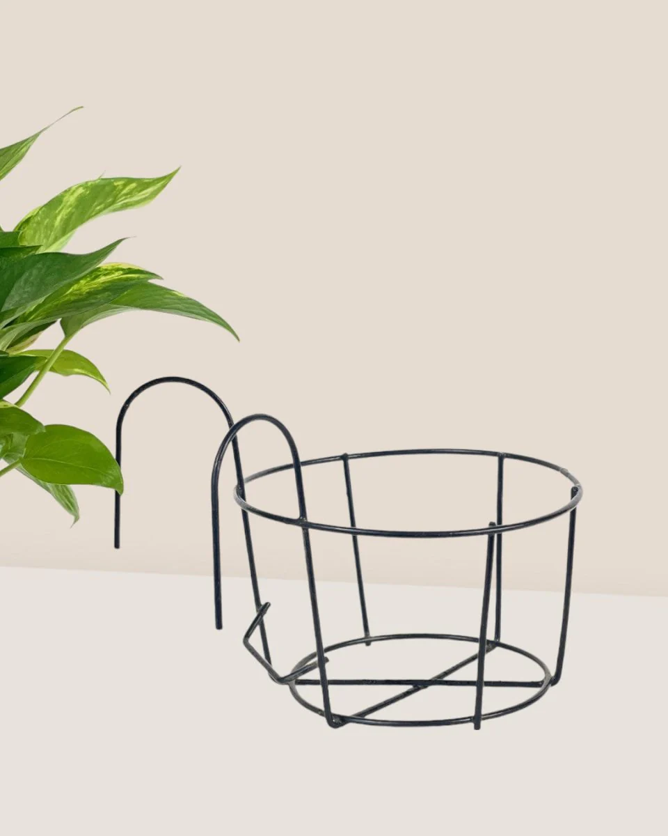 Hanging Rack - Small - Image 4