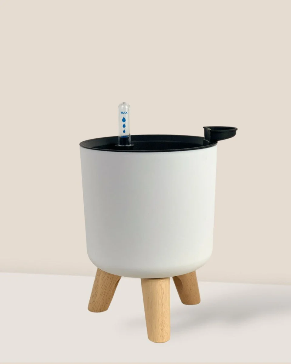 Self Watering Pot with Stand - Small - Image 3