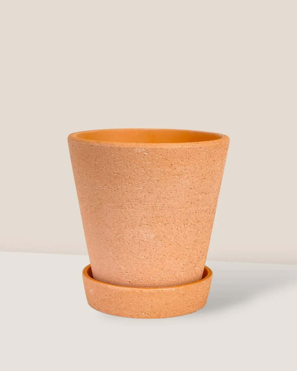 Terracotta Pot with Tray - Small