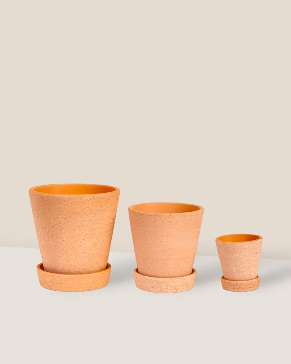 Terracotta Pot with Tray - Small - Image 4