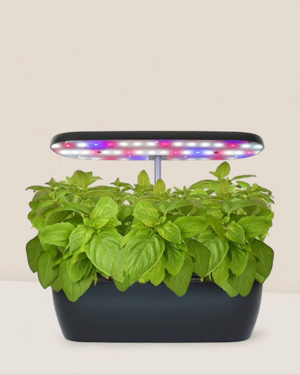 SmartGarden Classic - Image 3
