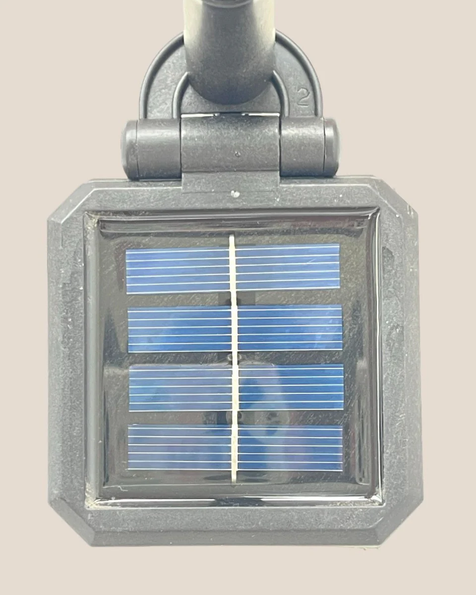 Solar Plant Light - Image 6