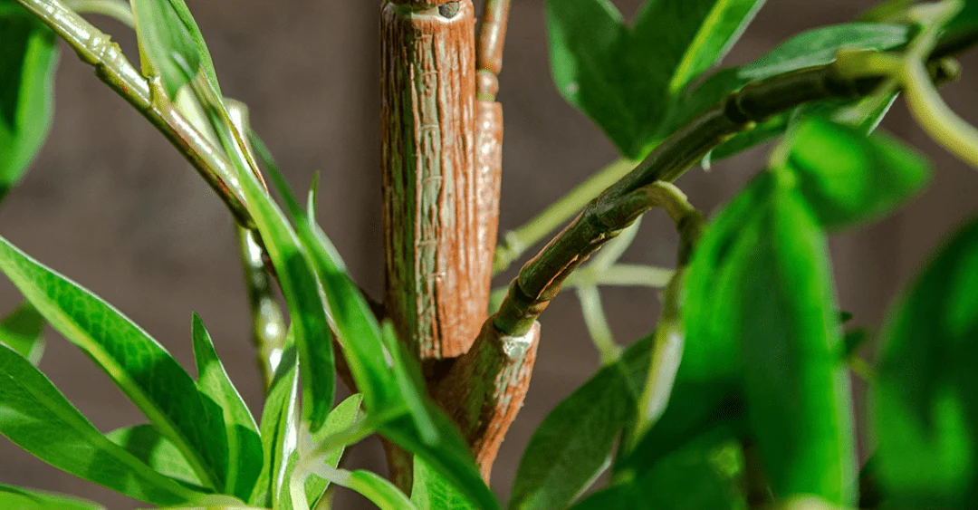 Southern Sky Bamboo (Life-like Artificial) - Image 12