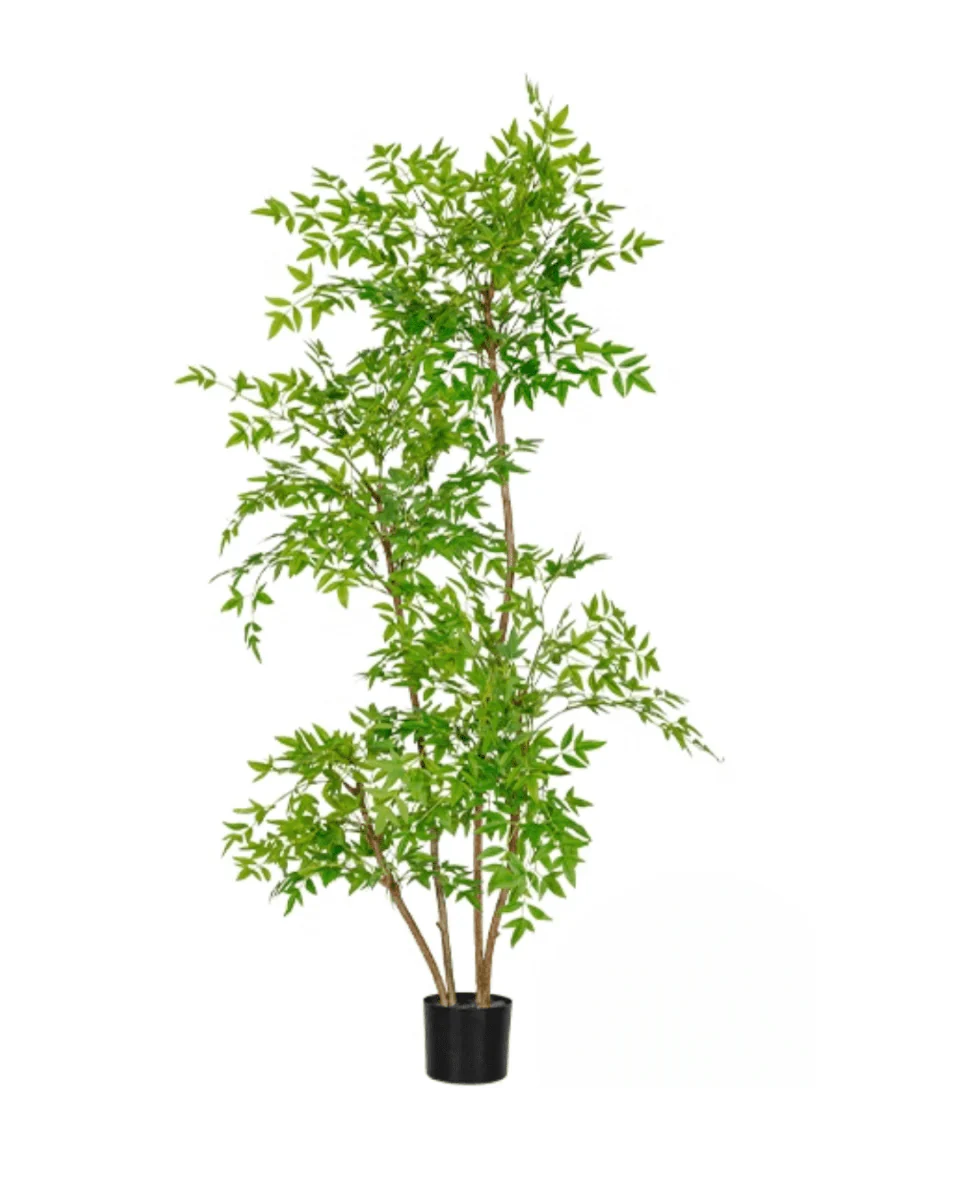 Southern Sky Bamboo (Life-like Artificial) - Image 18