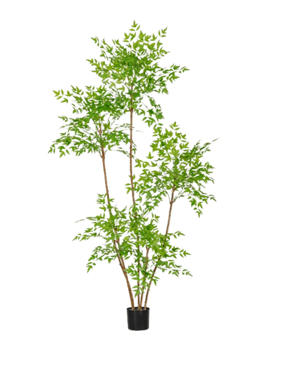 Southern Sky Bamboo (Life-like Artificial) - Image 20