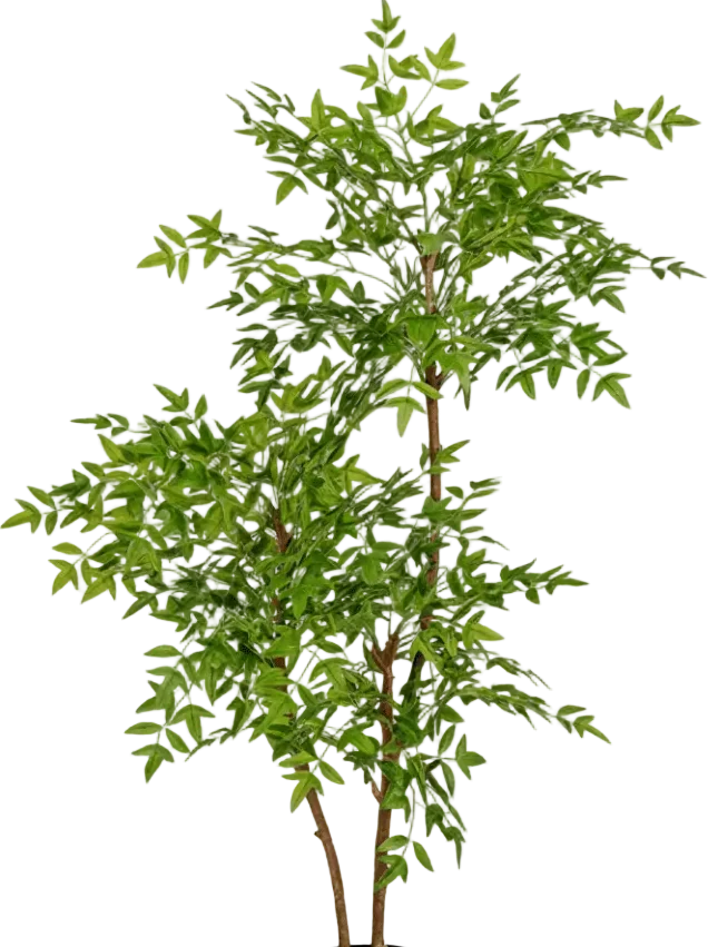 Southern Sky Bamboo (Life-like Artificial) - Image 23