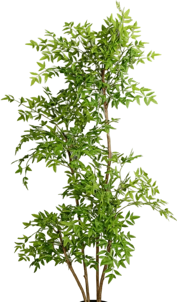 Southern Sky Bamboo (Life-like Artificial) - Image 24