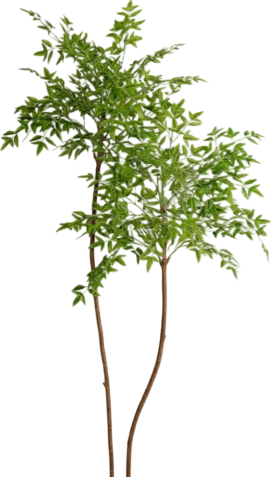 Southern Sky Bamboo (Life-like Artificial) - Image 25