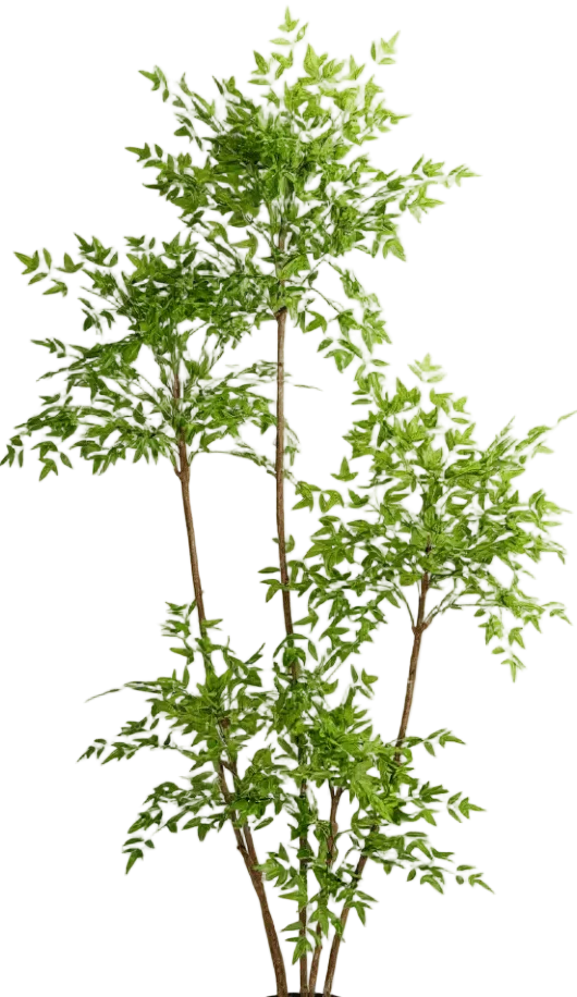 Southern Sky Bamboo (Life-like Artificial) - Image 26