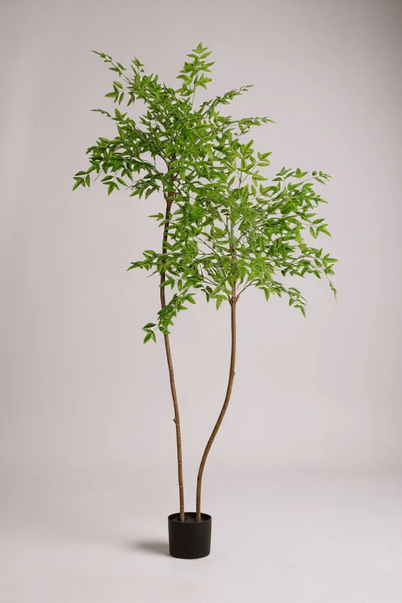 Southern Sky Bamboo (Life-like Artificial) - Image 8