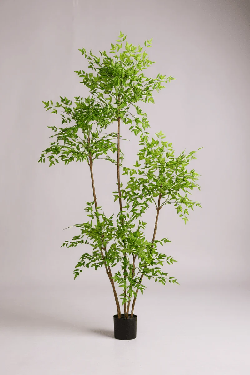 Southern Sky Bamboo (Life-like Artificial) - Image 9