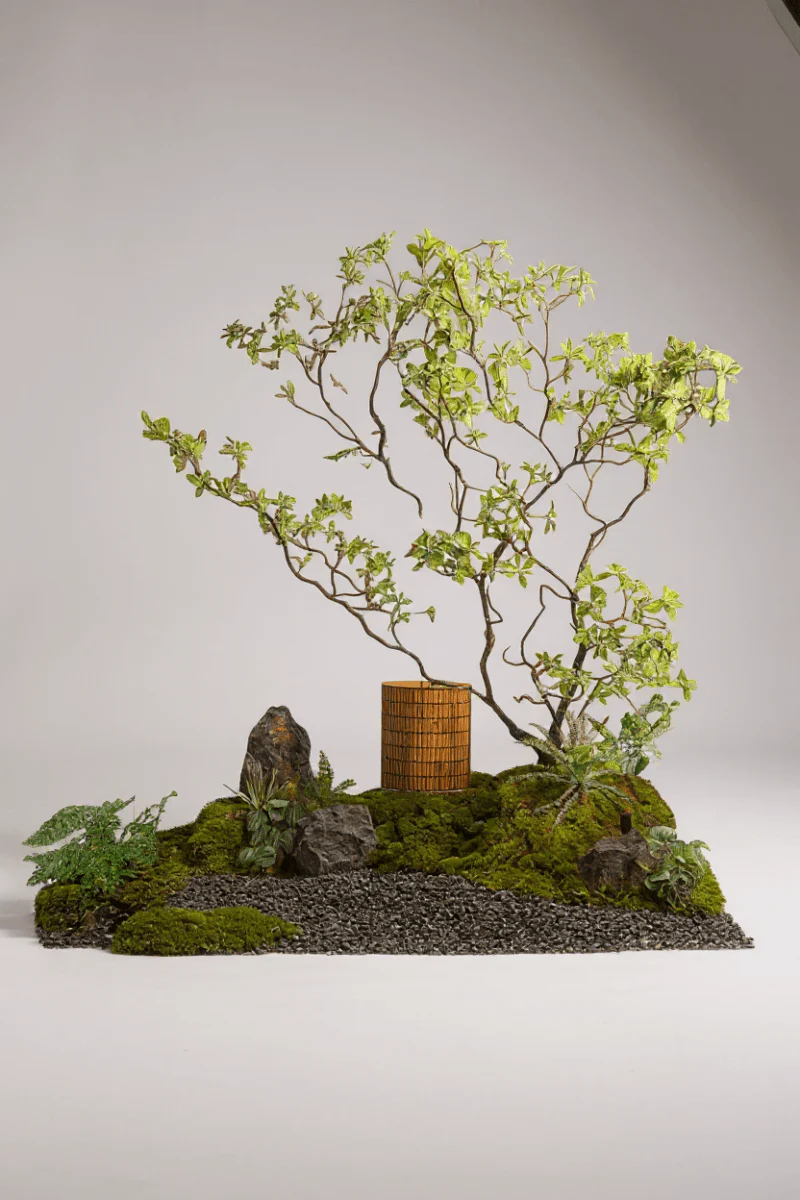 Special Shaped Drunken Wood Tree - Real-Trunk Artificial - Image 4