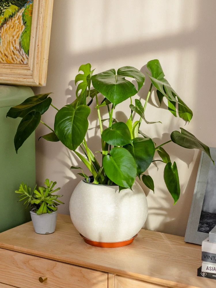 Sphere Pebble Pot - XL - Image 3