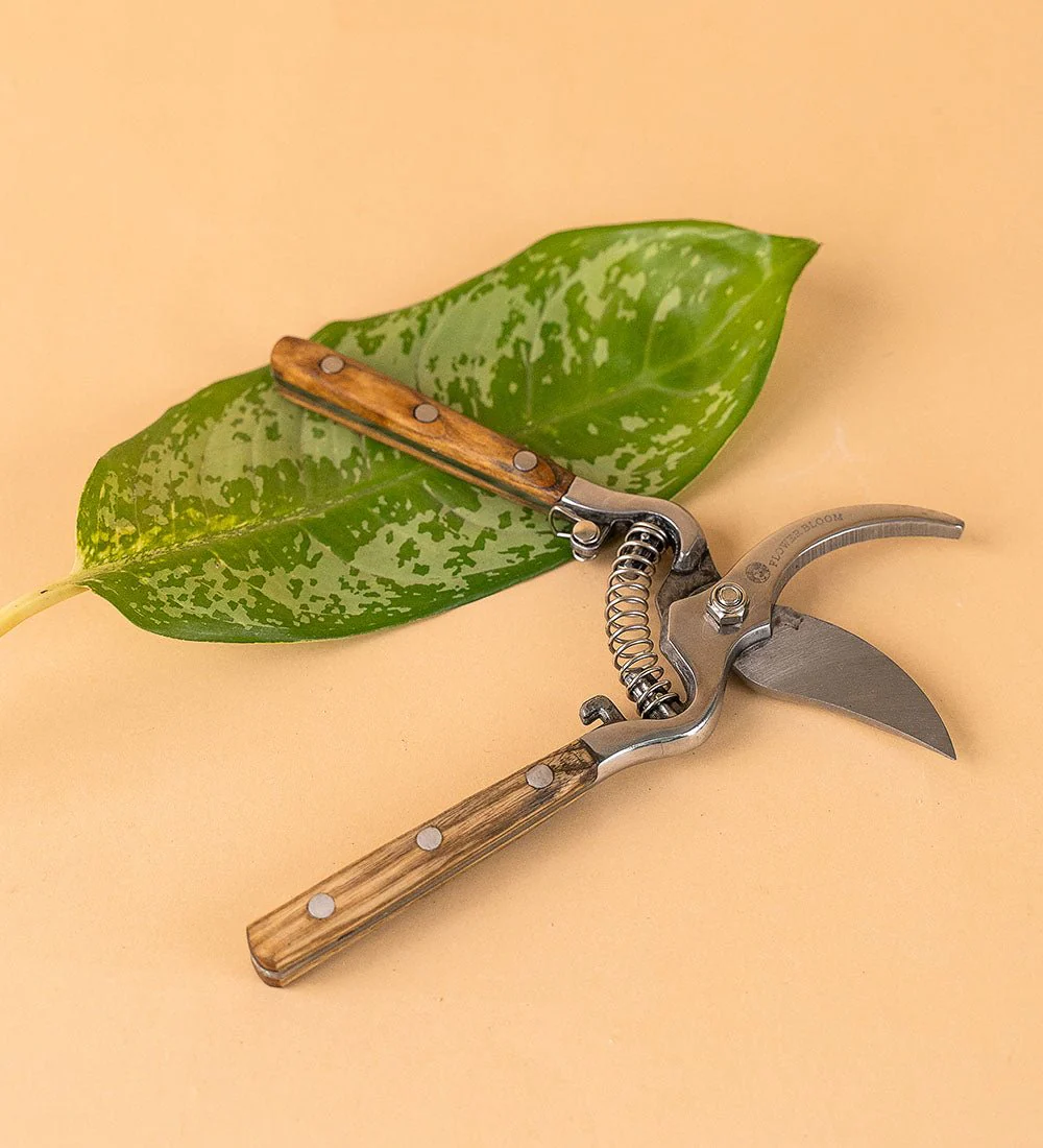 Stem Cutters - Image 2