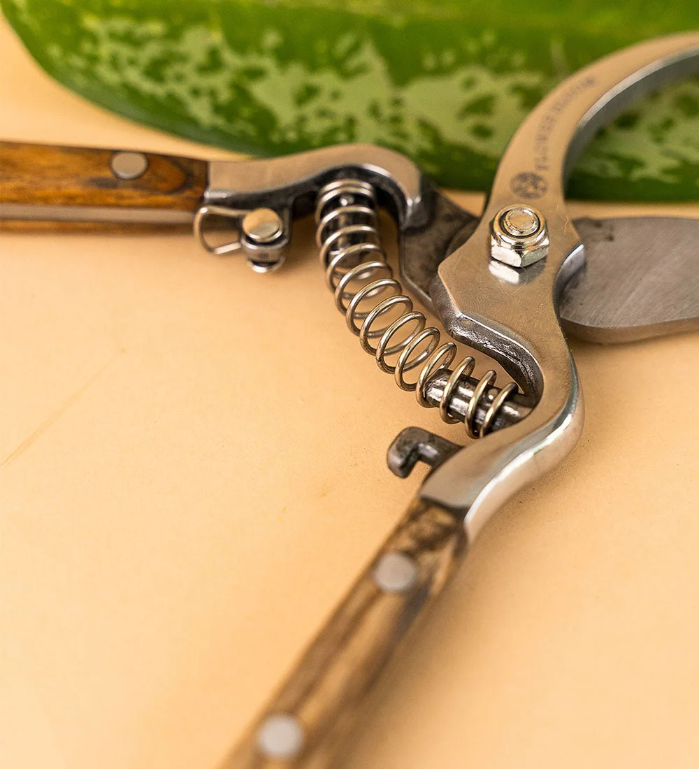 Stem Cutters - Image 3