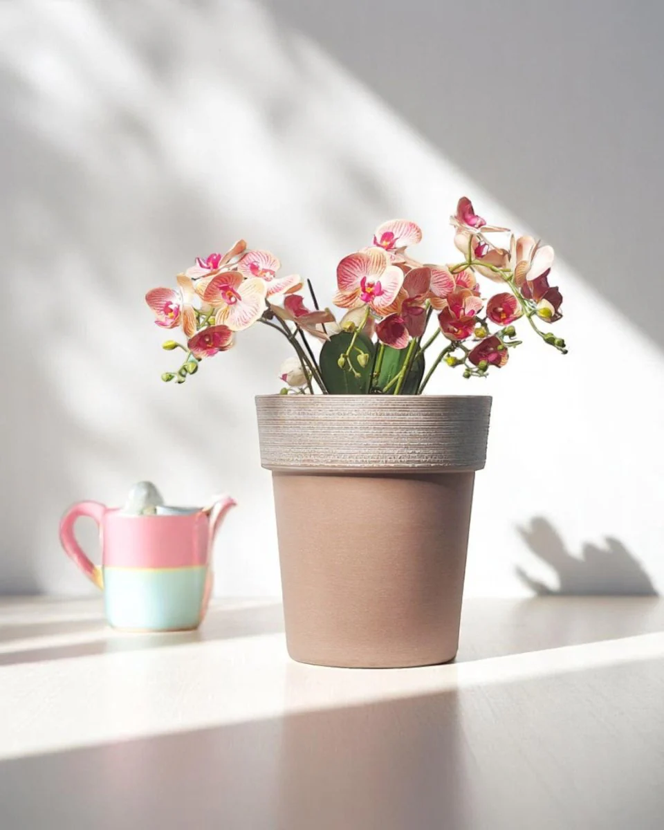 Stria Alto Pots - Medium