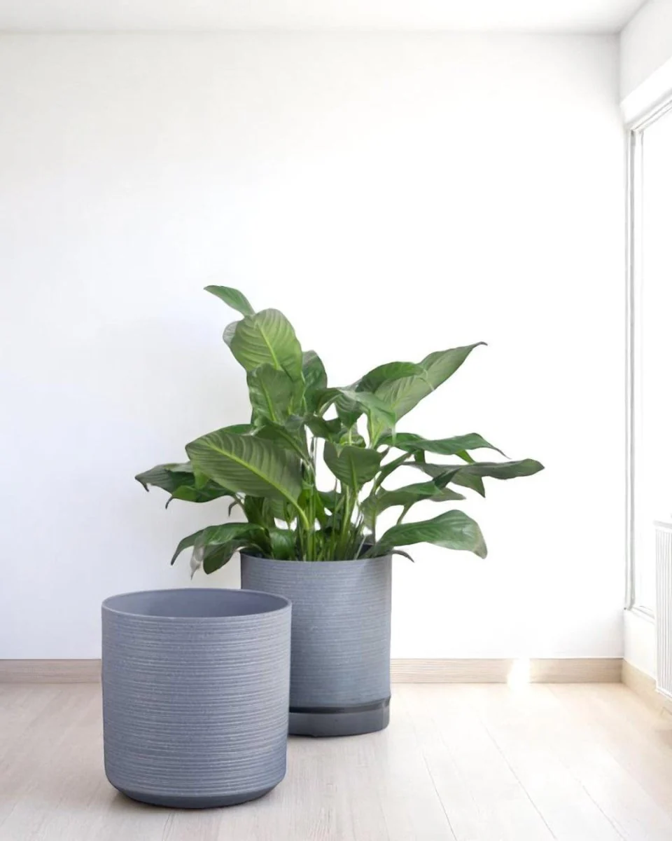 Stria Cylinder Pots - XL