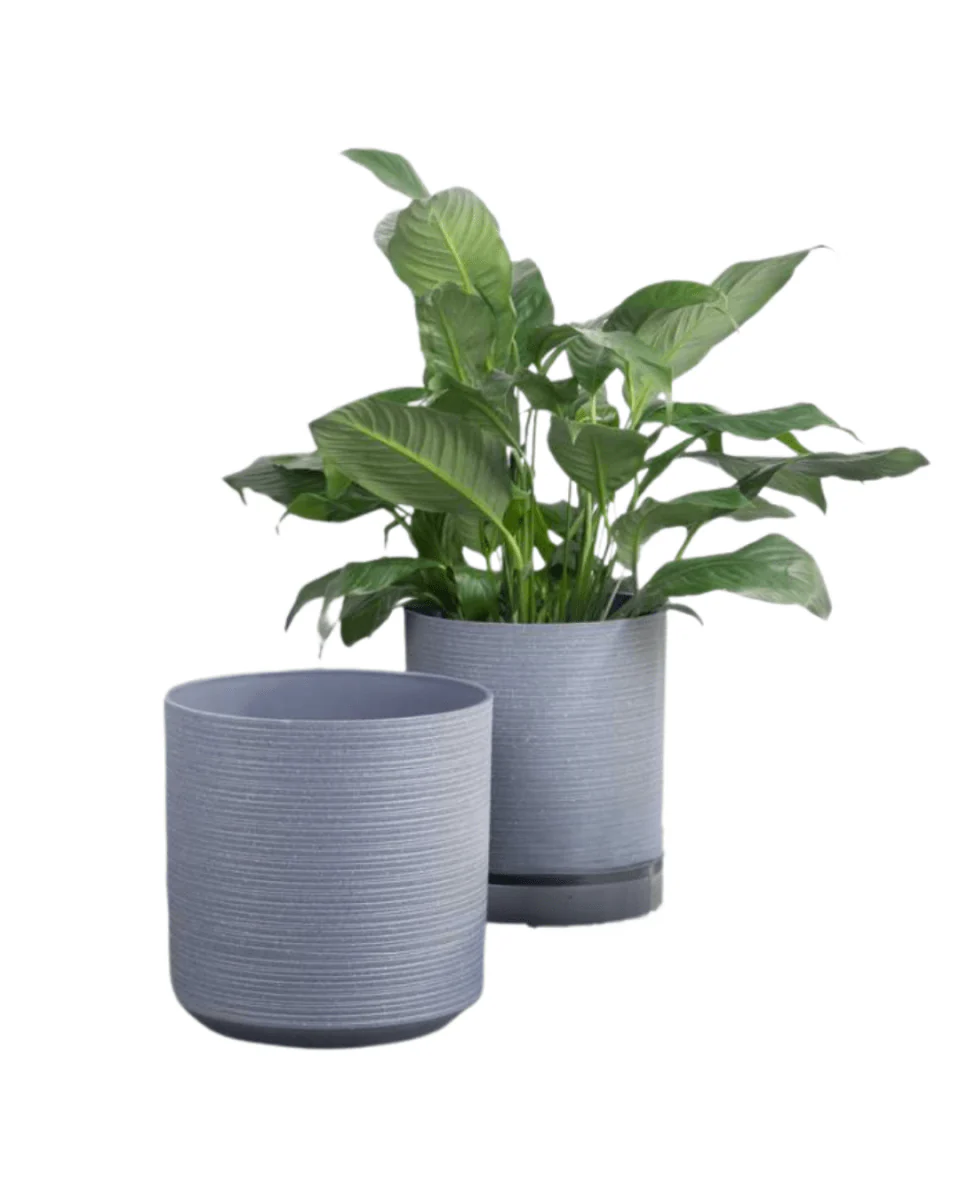 Stria Cylinder Pots - XL - Image 6