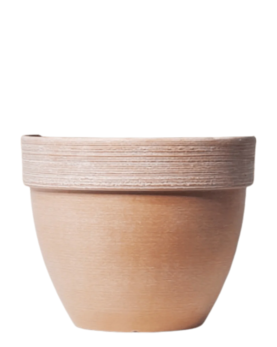 Stria Terralite Pot - Image 2