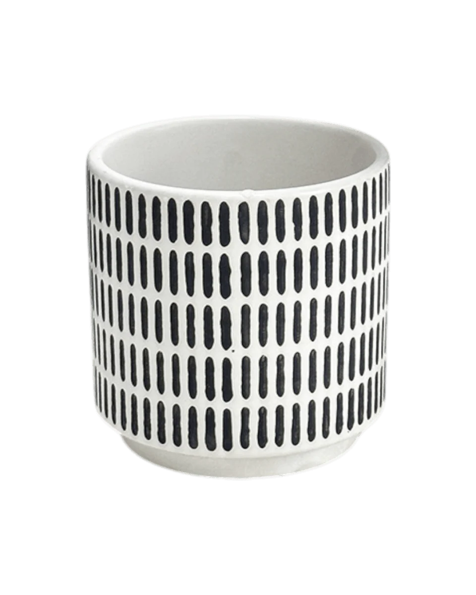 Stripe Pocky Planter - Image 2