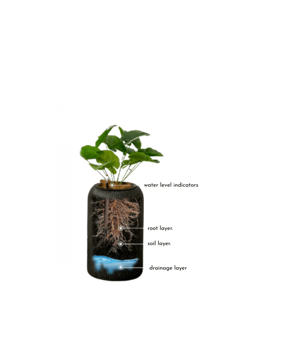 Stripes StoneBlast - HydroEase Pot - XL Tall - Image 4