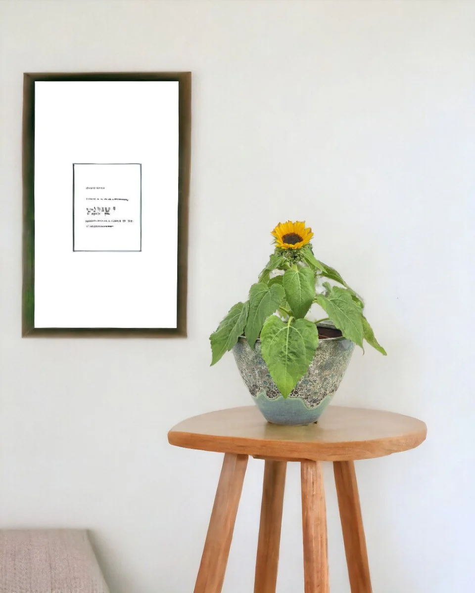 Sunflower Plant - Image 9