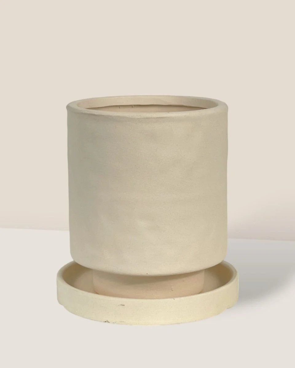 Tall Astra Pot - XS - Image 16