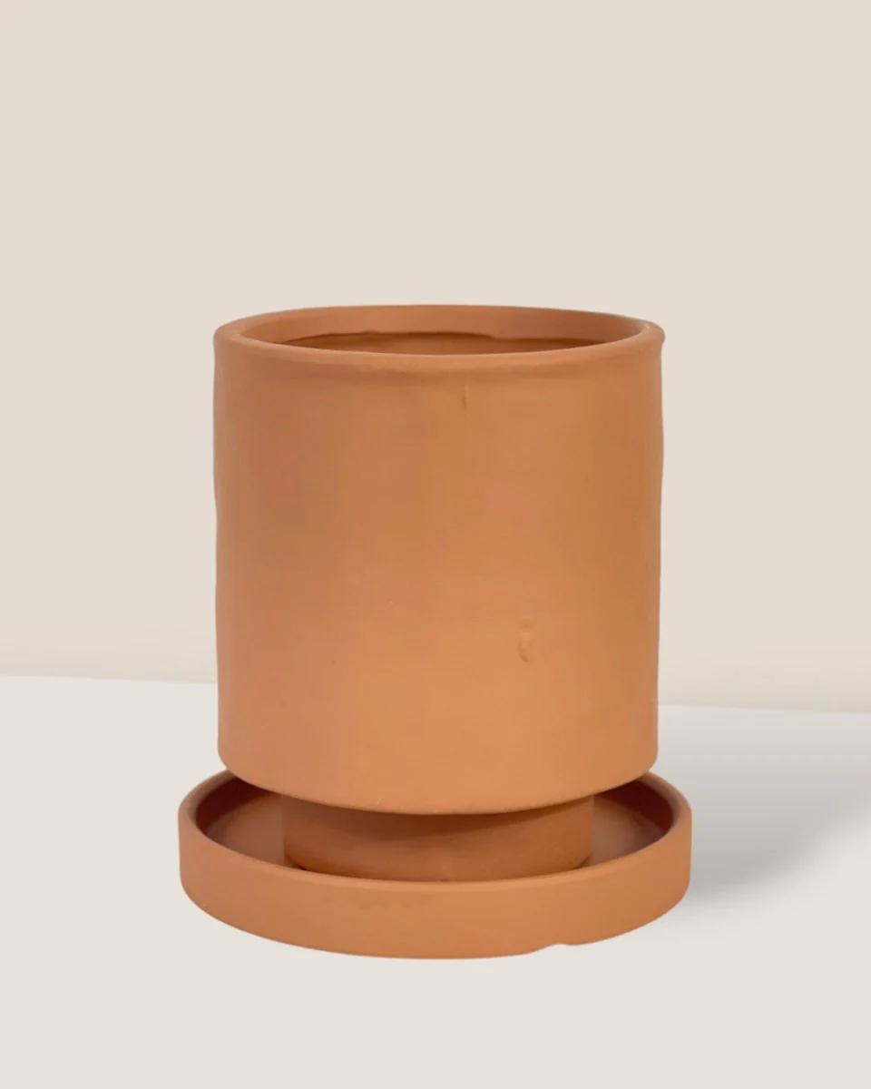 Tall Astra Pot - XS - Image 5
