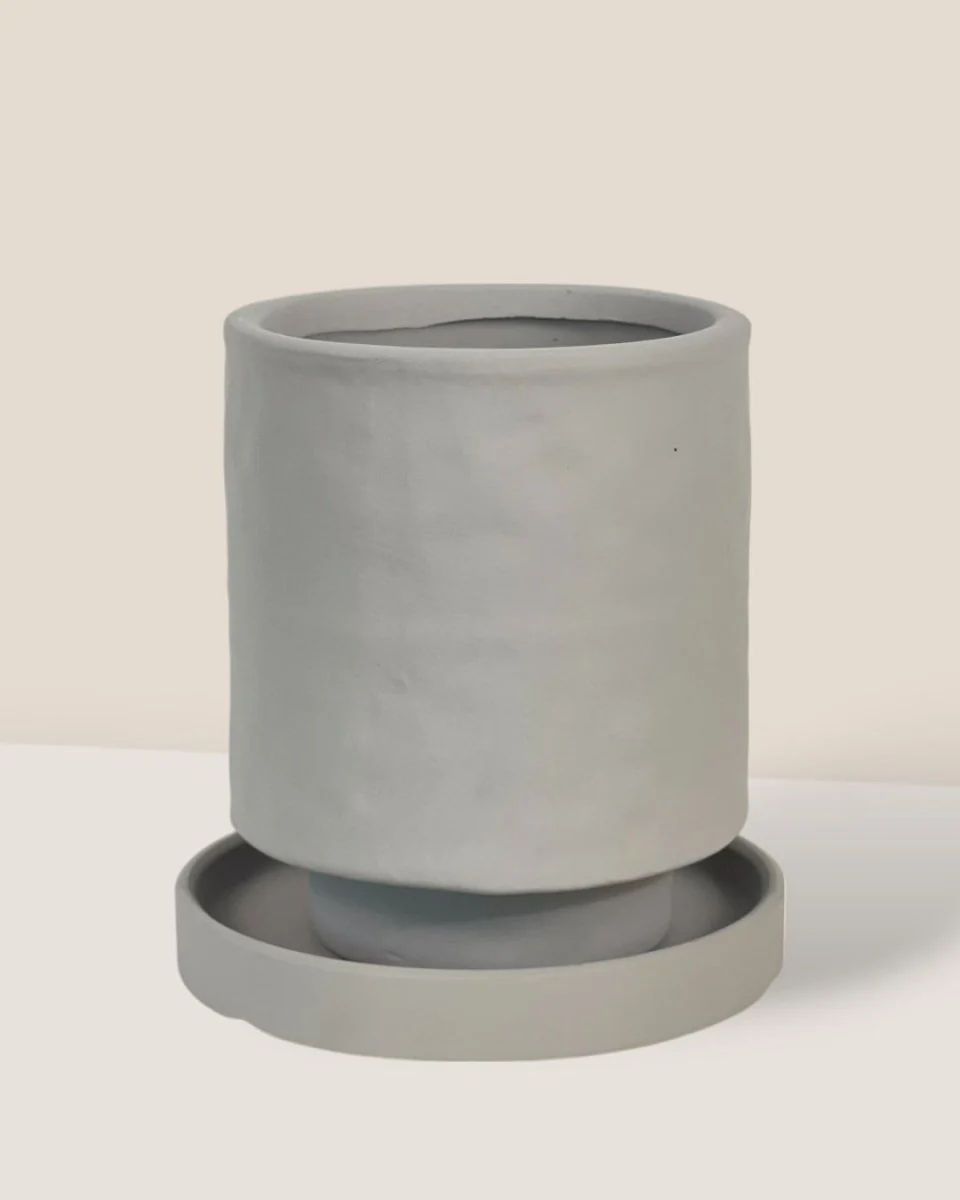 Tall Astra Pot - XS - Image 10
