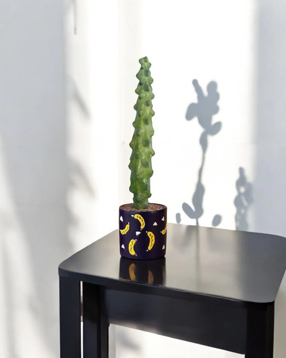 Titty Cactus - Image 2