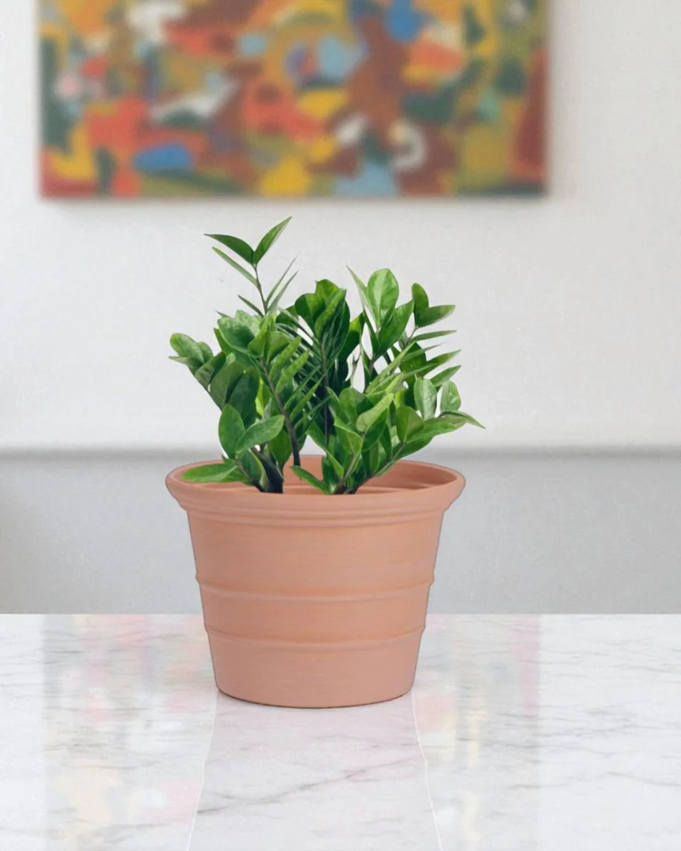 Terra Airstone Pots - Medium