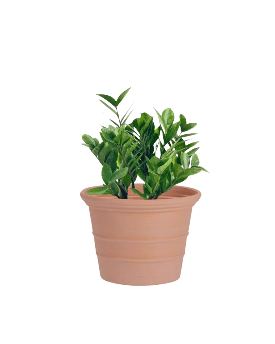 Terra Airstone Pots - Medium - Image 2