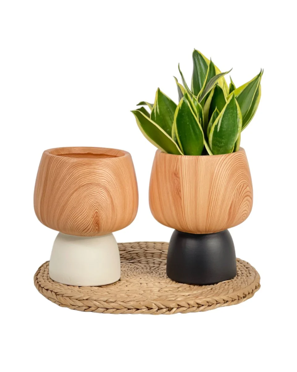 Terracotta Wooden Pot - Image 6