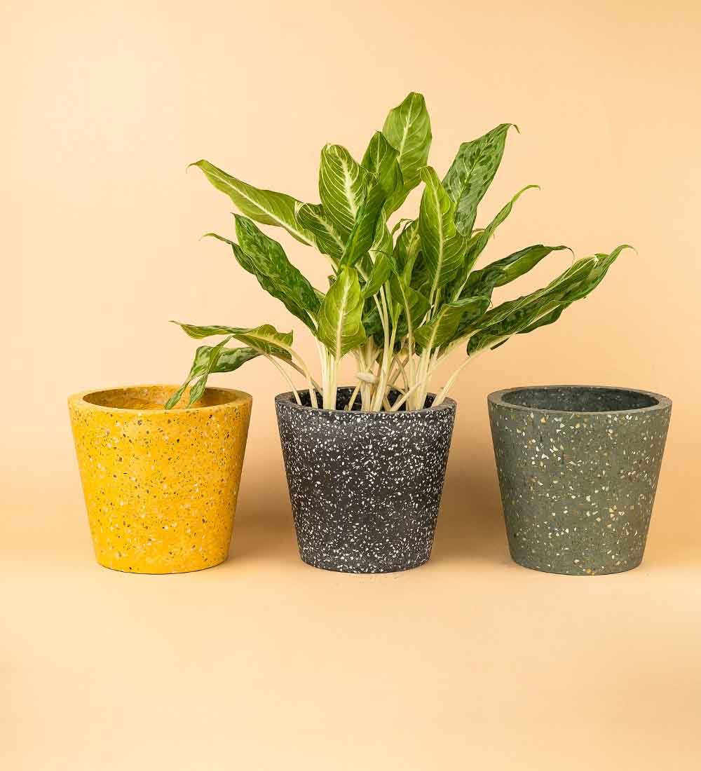 Terrazzo Pots - Image 8