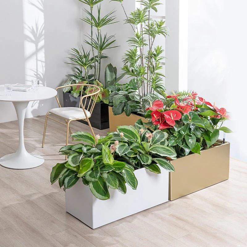 Planter BOX - Hydroease Planter Box - Image 4