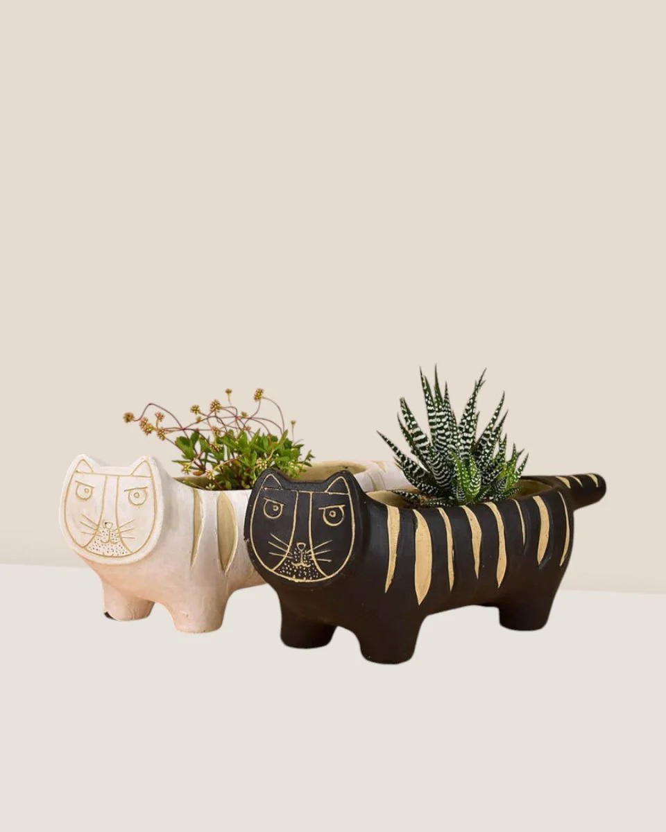 Tiger Planters - Image 3