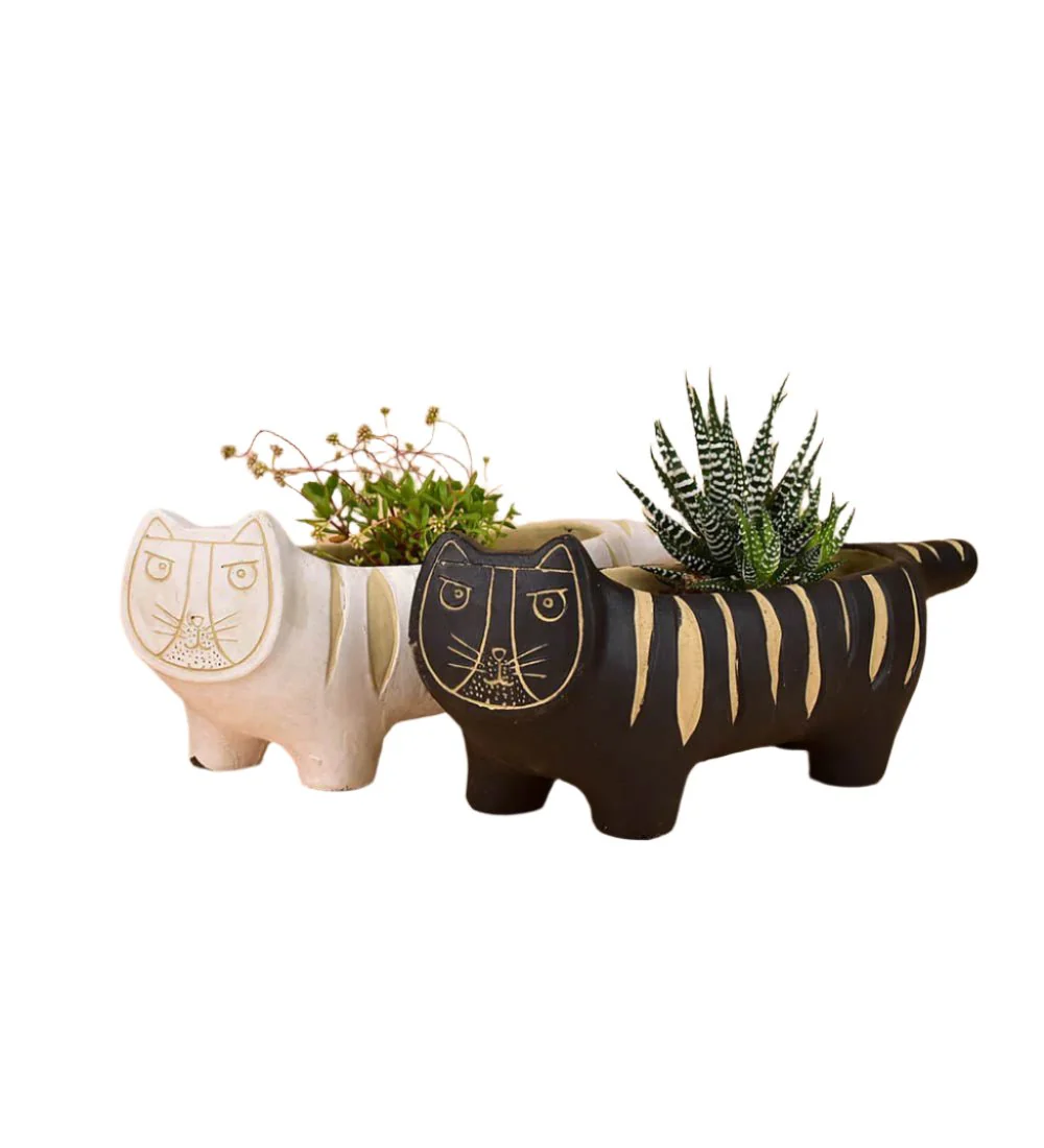 Tiger Planters - Image 6